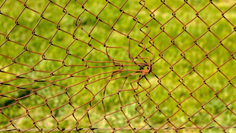 Restrictive covenants in employment contacts and shareholders’ agreements - featrured image