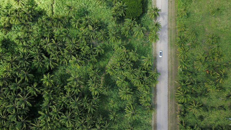 Henry Mills discusses the future of sustainability in eprivateclient - featrured image