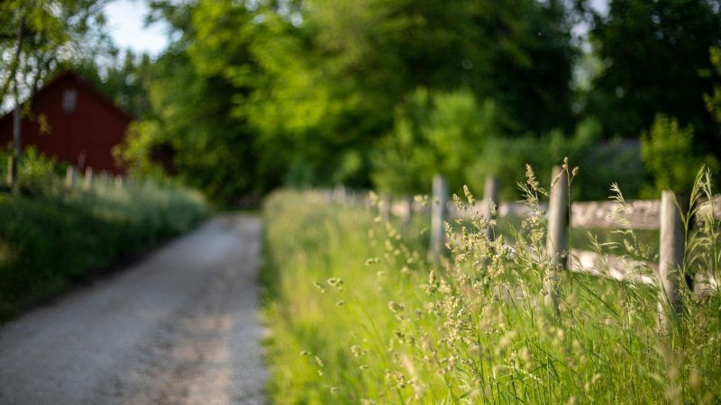 Henry Mills discusses the Nature Restoration Fund in BusinessGreen - featrured image